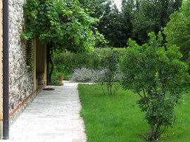 Orto e giardino (3)